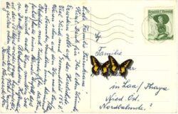 neujahr, kutschenfahrt
