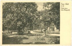bad hall, motiv aus dem kurpark