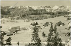 hinteralm, gegen hochschwab und mürzsteger alpen