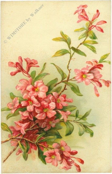 blühender zweig