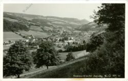 aspang, ortsansicht