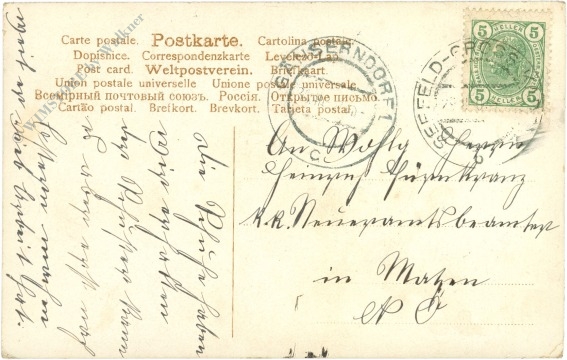 veilchen