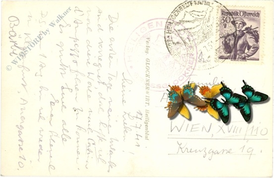 großglockner, ansicht