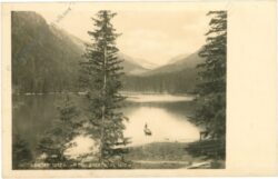 gaal, ingeringsee mit triebnerthörl