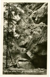 grein, partie am stillen stein, strudengau