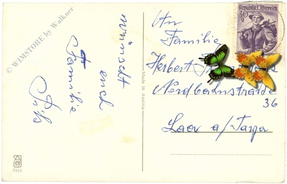 weihnachten, engerl mit christbaum am dorfplatz