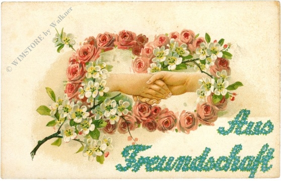 aus freundschaft blumen aus freundschaft blumen