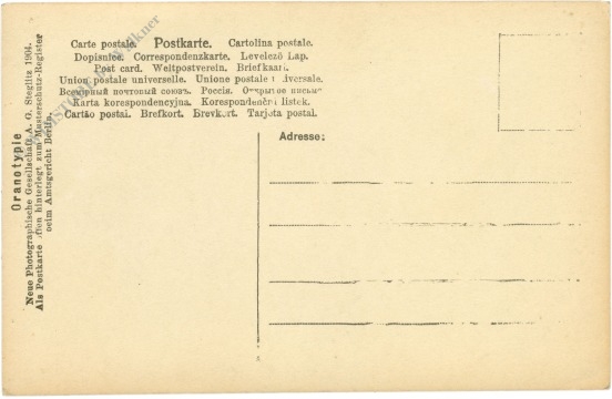 freiburg i.b., münster von westen gesehen