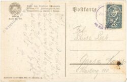 das schwarzbraune bier