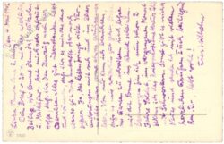 schlüsselblume und schneeglöckchen