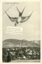 bad hall, schwalbe mit brief