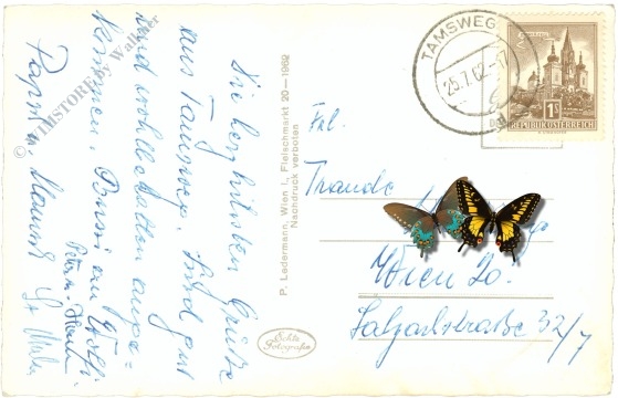 tamsweg, ortsansicht