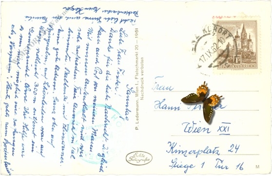 jauring, bei aflenz mit tutschacher kapelle