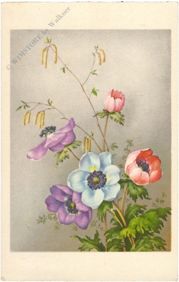 anemonen und birkenzweige anemonen und birkenzweige