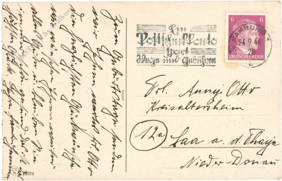 anemonen und birkenzweige