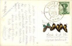 graz, stadtparkbrunnen