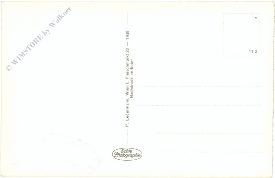 schneealpe, windberghütte gegen windberg