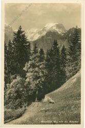 braunwald, weg nach dem rubschen