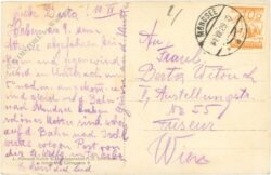 attersee, blick vom schafberg auf den attersee und das höllengebirge