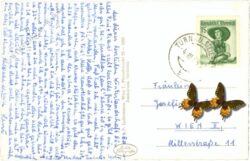 turnau, gegen aflenzer staritzen