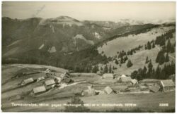 turnau, turnauer alpe gegen hochanger und hochschwab