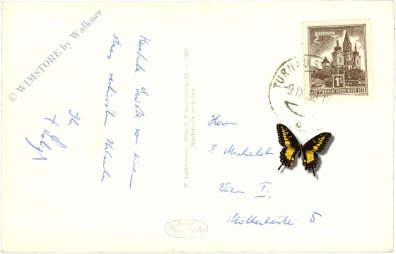 turnau, turnauer alpe gegen hochanger und hochschwab