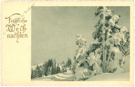 weihnachten, verschneite bäume
