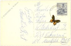 riegersburg, ortsansicht