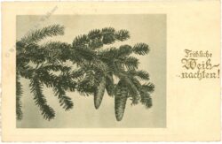 weihnachten, zweig mit zapfen