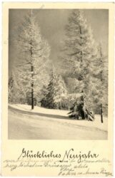 neujahr, verschneiter wald