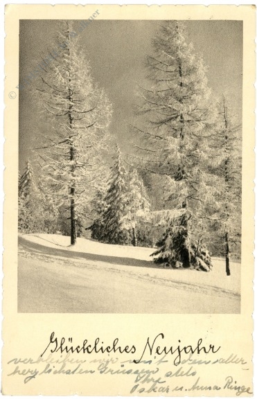 neujahr, verschneiter wald neujahr, verschneiter wald
