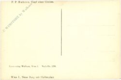 rubens, p.p.: kopf eines greises