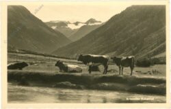 krimml, krimmler achental