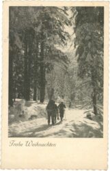 weihnachten, verschneiter waldweg