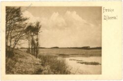 uferlandschaft uferlandschaft