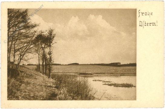 uferlandschaft uferlandschaft