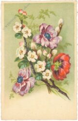 frühlingsblumen