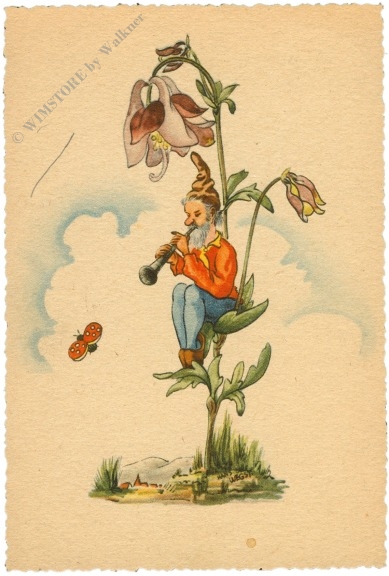 glockenblume mit zwerg