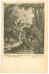 ridinger, johann elias: der vogelfänger