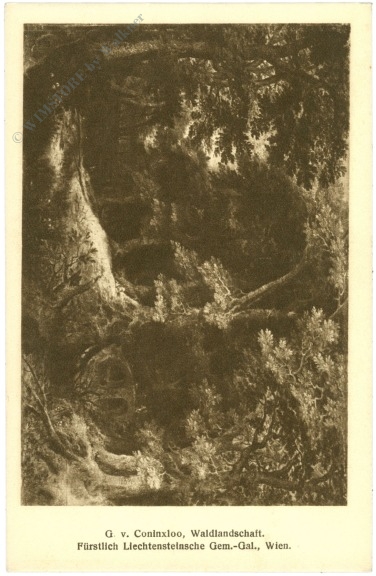 coninxloo, g.v.: waldlandschaft