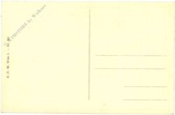 coninxloo, g.v.: waldlandschaft