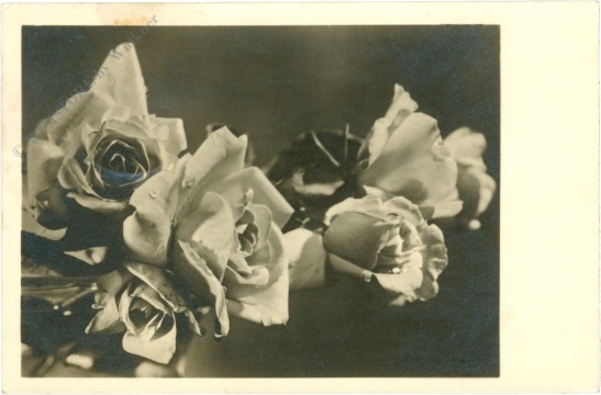 rosen