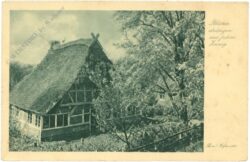 hofmeister, th. u. o.: blüten drängen aus jedem zweig
