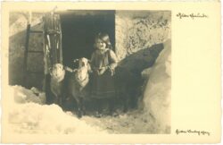 gute freunde mädchen mit schafen