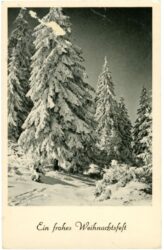 weihnachten, verschneite bäume