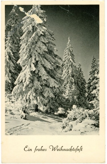 weihnachten, verschneite bäume