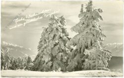 weihnachten, verschneite berge