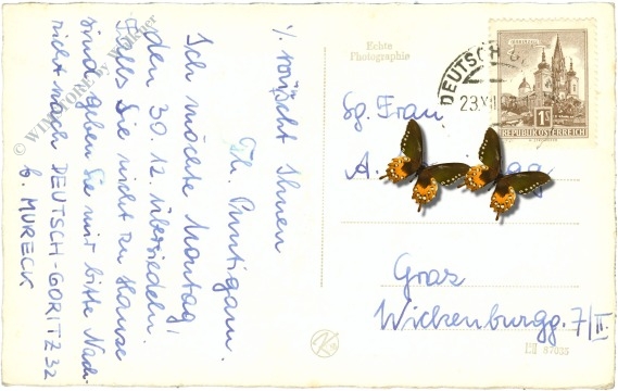 weihnachten, verschneite berge