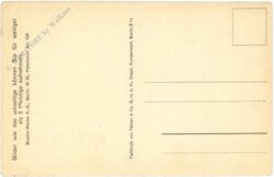 dame im tuch dame im tuch