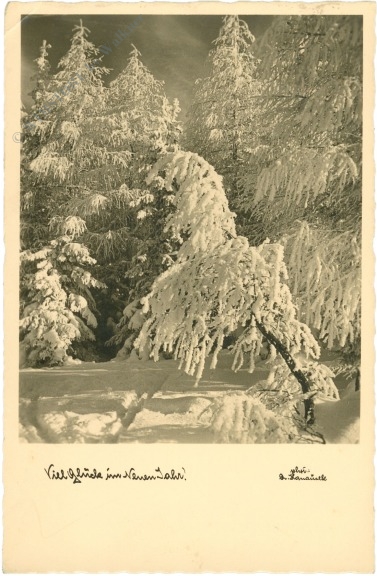 neujahr, verschneiter wald neujahr, verschneiter wald